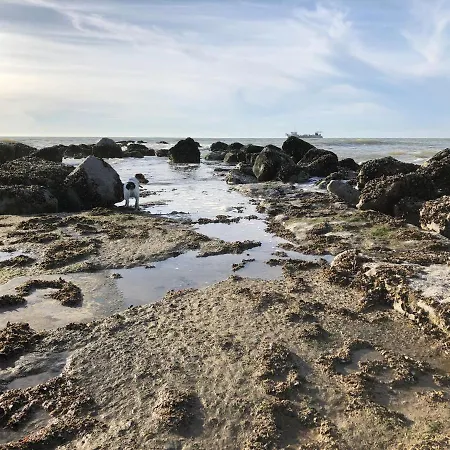 Zee Rust Ostend